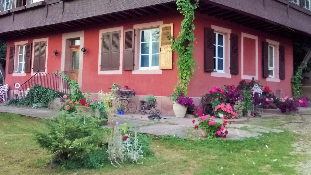 Gite "Cadichon" Munster (Haut-Rhin) Exterior foto