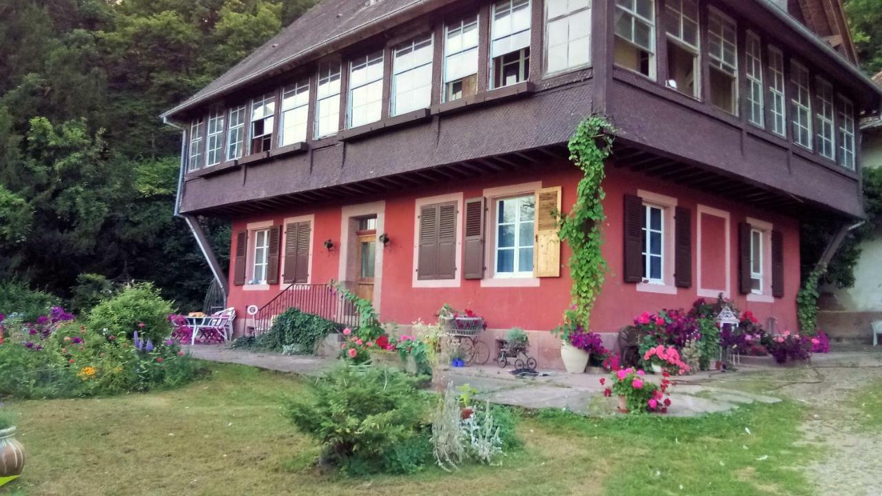 Gite "Cadichon" Munster (Haut-Rhin) Exterior foto